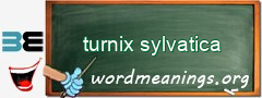 WordMeaning blackboard for turnix sylvatica